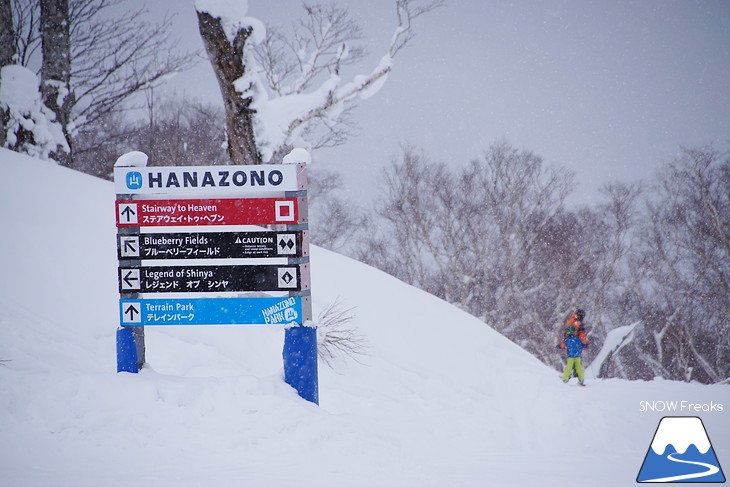 ニセコマウンテンリゾート グラン・ヒラフ　粉雪と千歳ワイナリーの美味しいワインに酔う♪